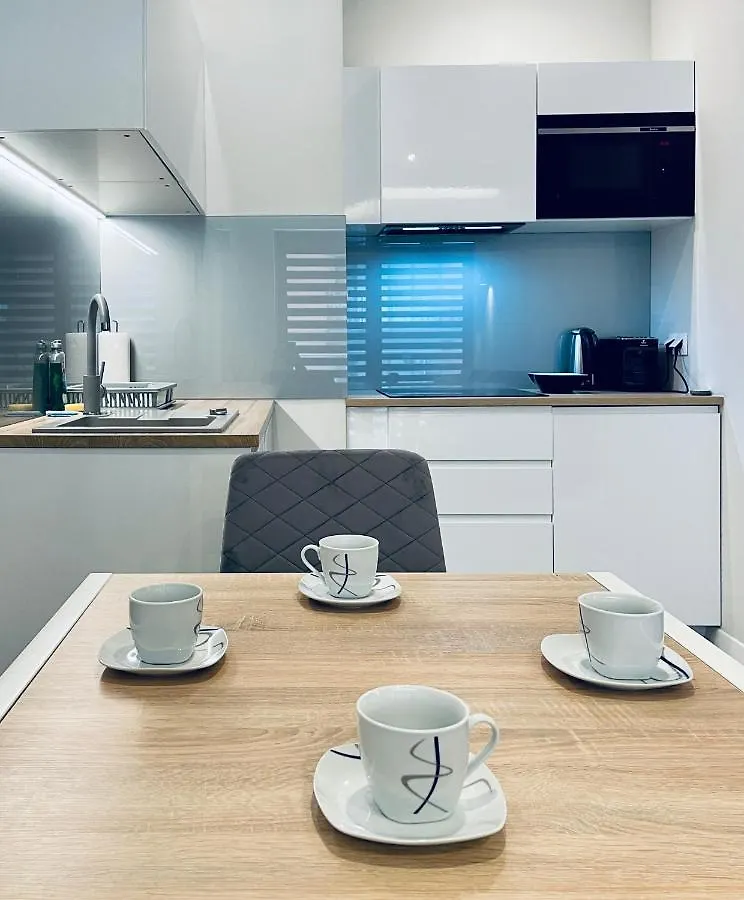 Modern Silver Apartment Cracovie