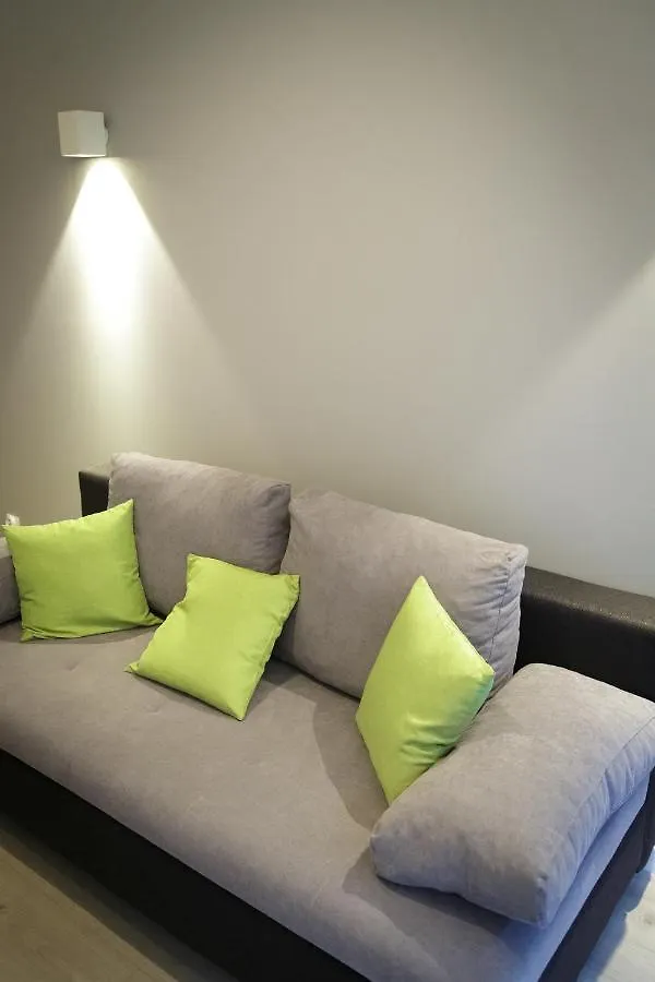 Modern Silver Apartment Krakov
