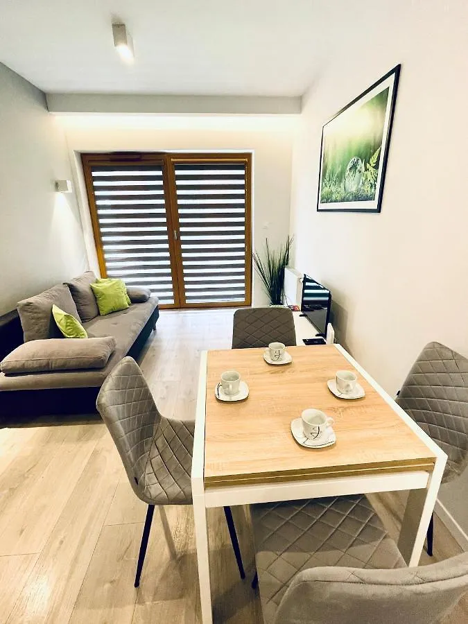Modern Silver Apartment Krakov Polsko